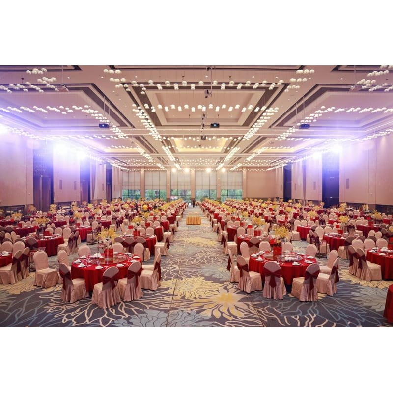 宴会厅案例图-2